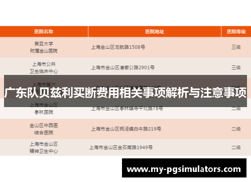 广东队贝兹利买断费用相关事项解析与注意事项