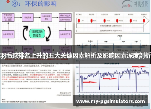 羽毛球排名上升的五大关键因素解析及影响因素深度剖析