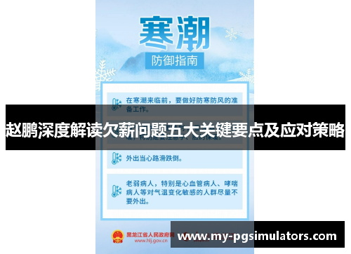 赵鹏深度解读欠薪问题五大关键要点及应对策略 赵鹏深度解读欠薪问题五大关键要点及应对策略