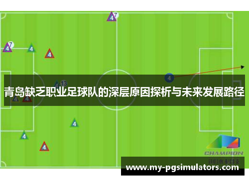青岛缺乏职业足球队的深层原因探析与未来发展路径 青岛缺乏职业足球队的深层原因探析与未来发展路径