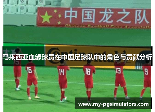 马来西亚血缘球员在中国足球队中的角色与贡献分析